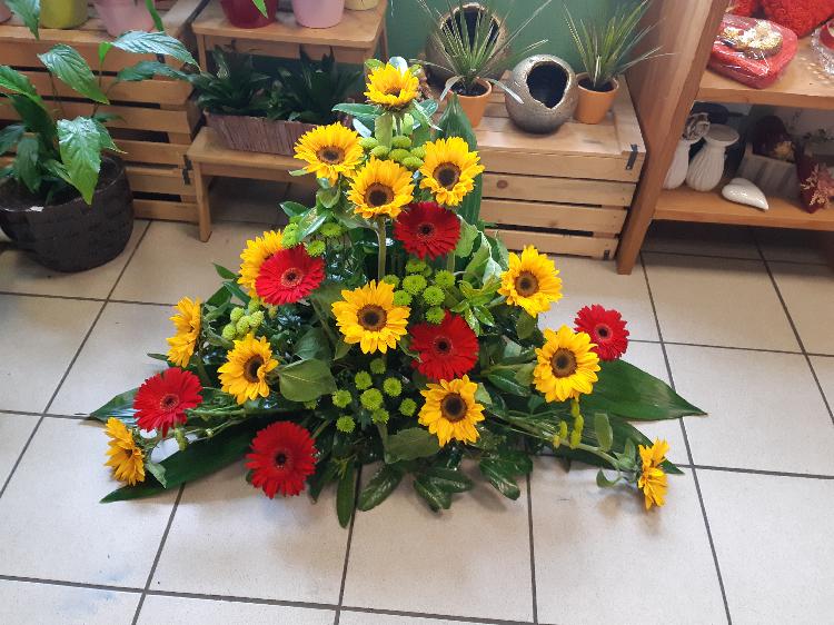 0172789726420200615_100542.jpg-rosa-vita.si