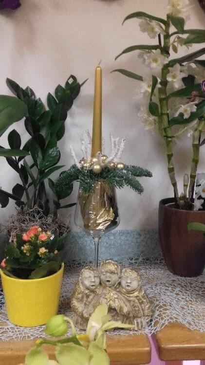 1172797265020181120_195719.jpg-rosa-vita.si