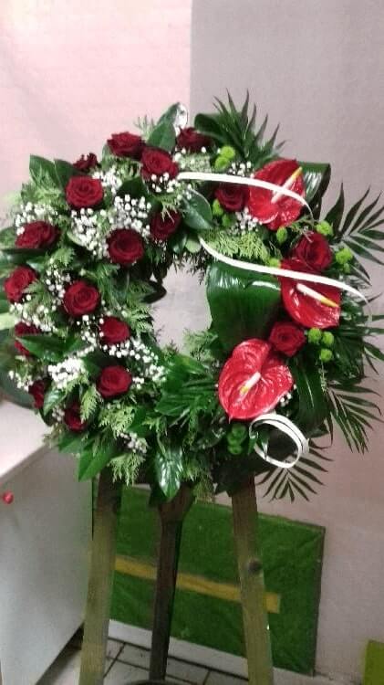 3172797250020181213_143625.jpg-rosa-vita.si