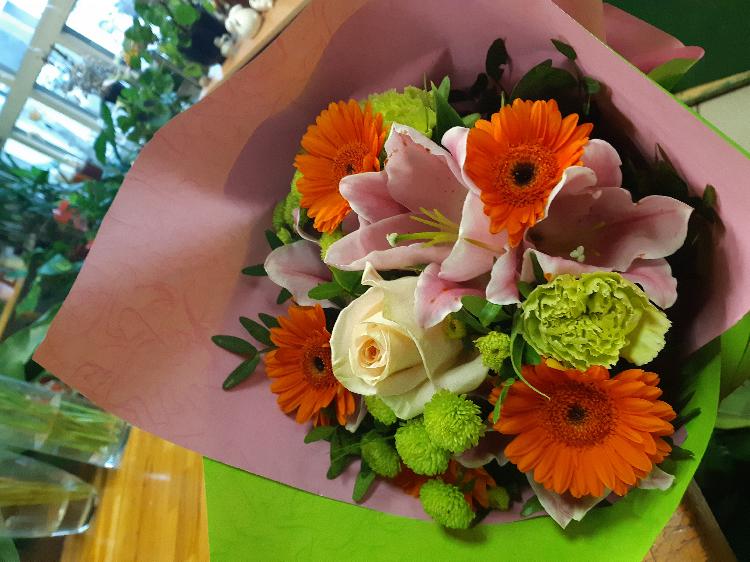 3172797287220201212_105219.jpg-rosa-vita.si